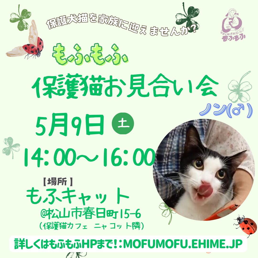 🔵5/9「保護猫もふもふお見合い会」🔵 - 保護犬猫の里親探しグループ